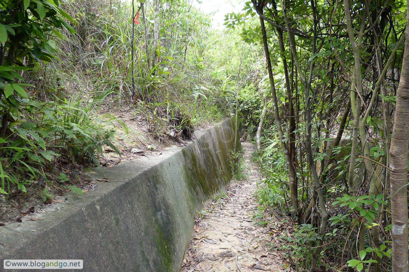 Shing Mun Redoubt - Oxford Street Trench